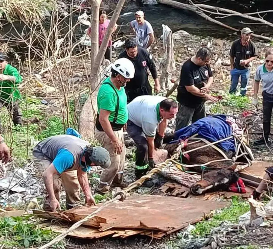 Foto: Bomberos Voluntarios de Paran&aacute;