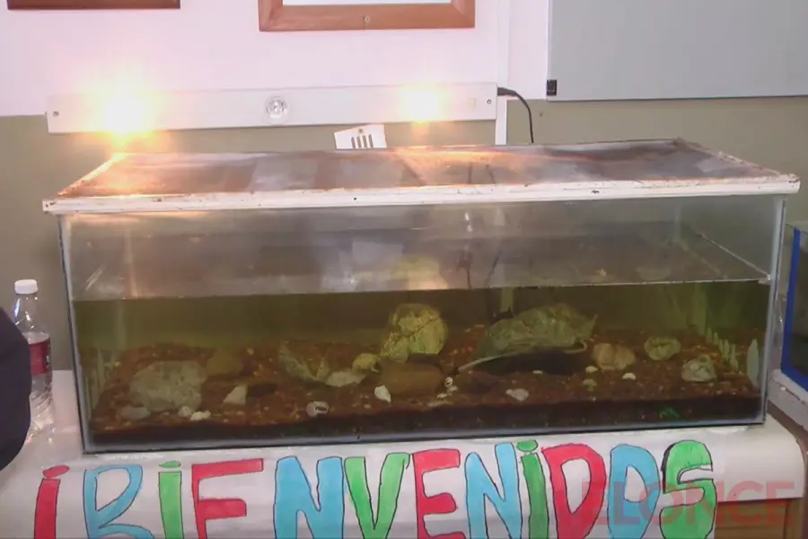Uno de los acuarios montados para la feria educativa (foto Elonce)