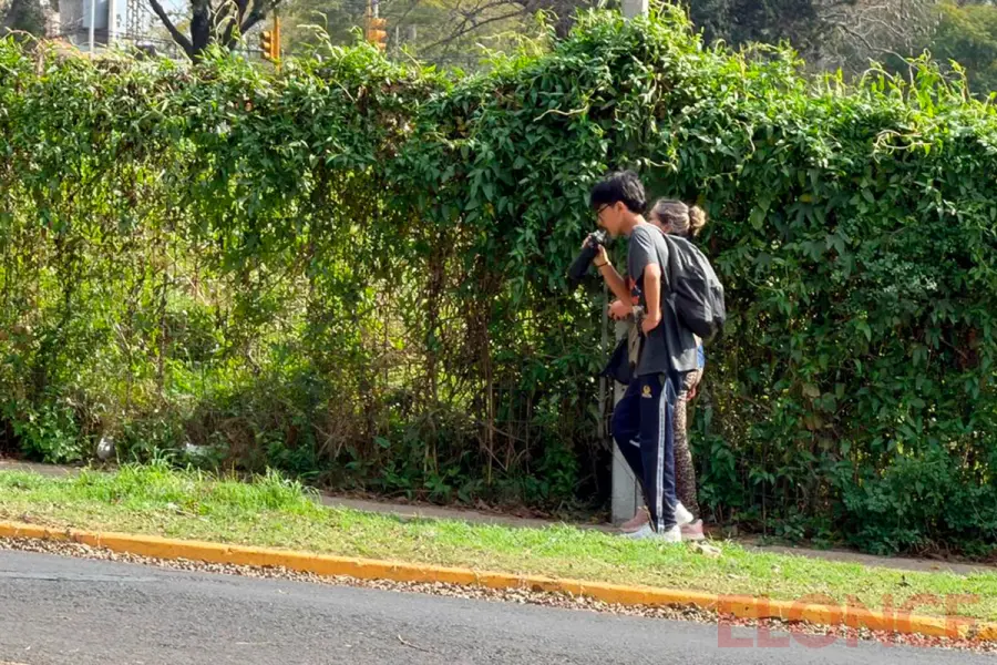 Temperaturas primaverales en invierno (foto Elonce)