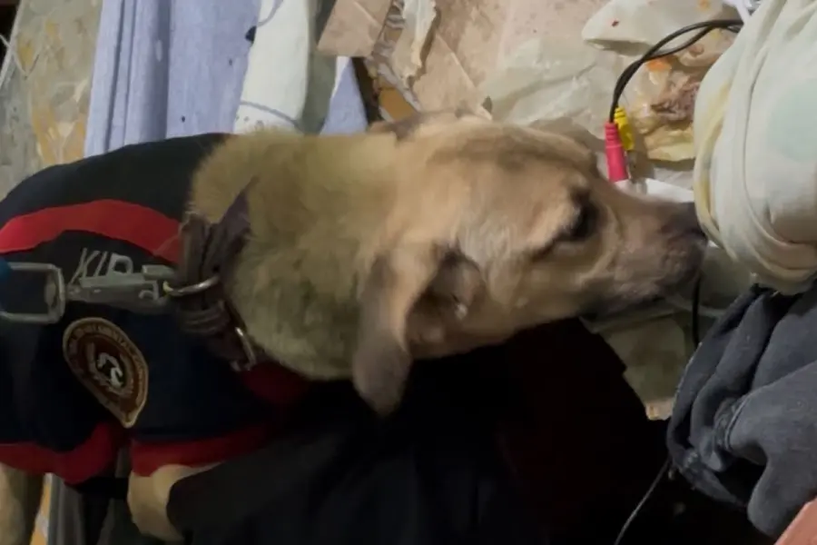 La perra Kira ayudó en el operativo.