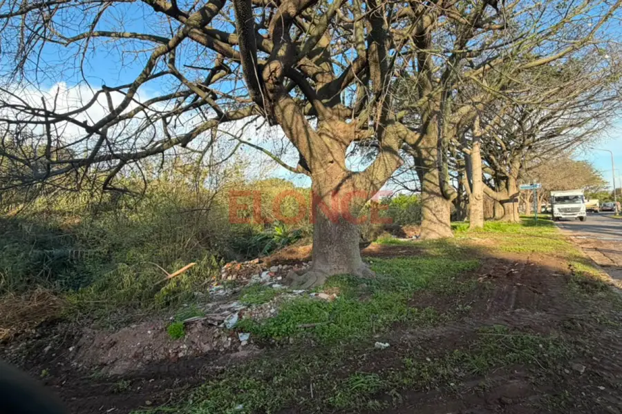 Operativo integral de limpieza en Loma Hermosa (foto Elonce)