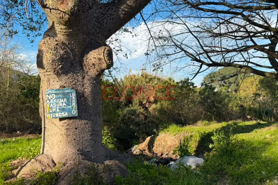 Operativo integral de limpieza en Loma Hermosa (foto Elonce)