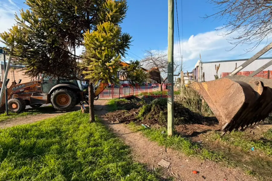 Operativo integral de limpieza en Loma Hermosa (foto Elonce)
