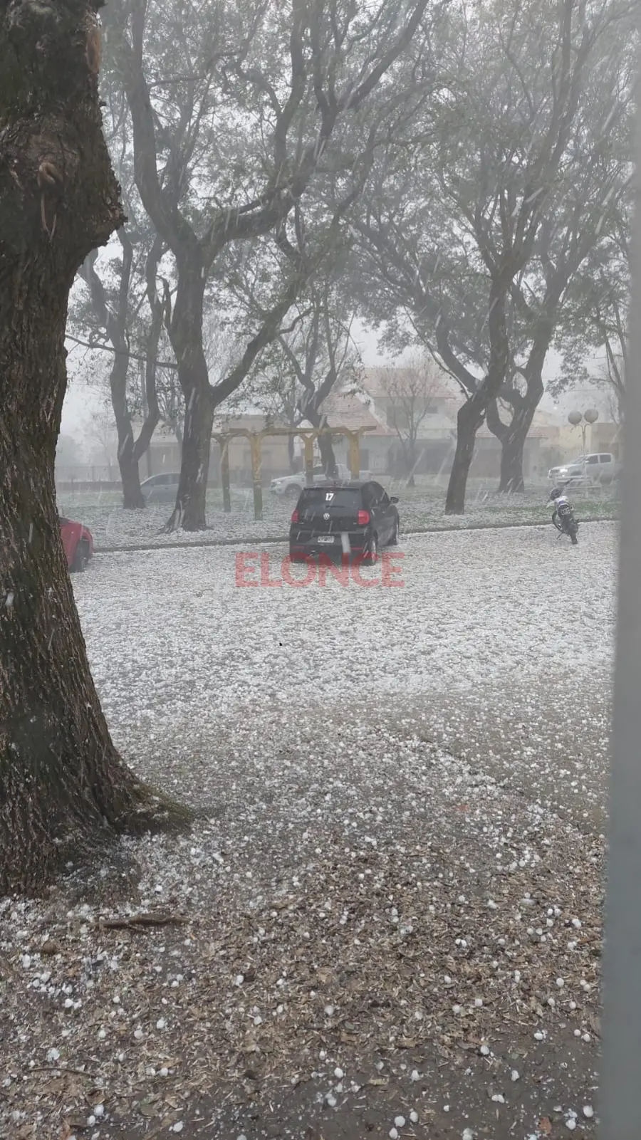 Granizada en General Ram&iacute;rez (foto Elonce)