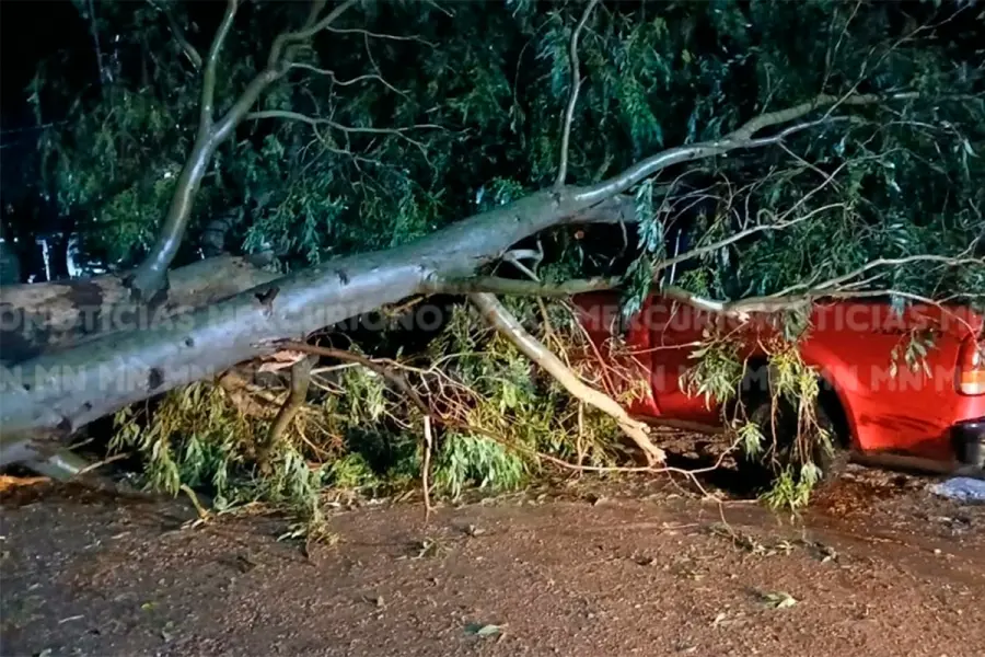 Fuerte granizada caus&oacute; graves da&ntilde;os en General Campos (fuente Mercurio Noticias)