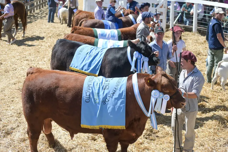 Foto: Sociedad Rural Gualeguaych&uacute;