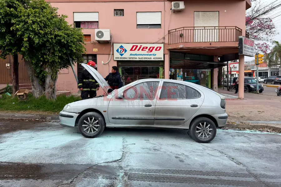 Un auto ardió en llamas en Paraná (foto Elonce)