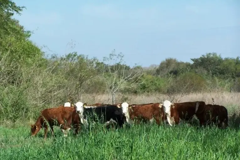 Entre Ríos regularizó 124.000 hectáreas de tierras fiscales y empezó a generar ingresos