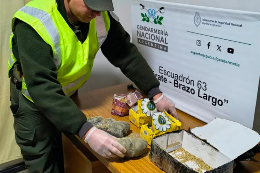 Hallaron marihuana oculta en paquetes de yerba mate (fuente Gendarmer&iacute;a Nacional)