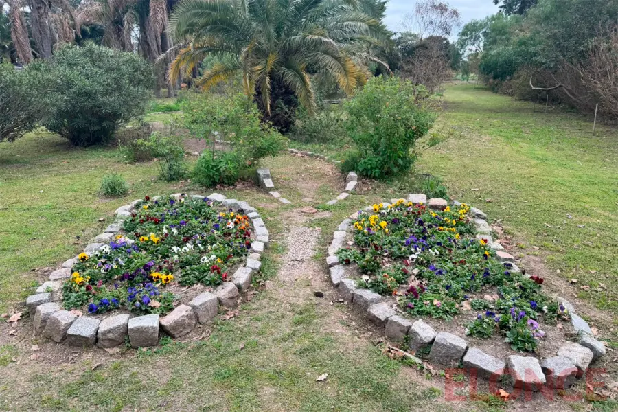 Vivero Municipal de Paran&aacute; (foto Elonce)