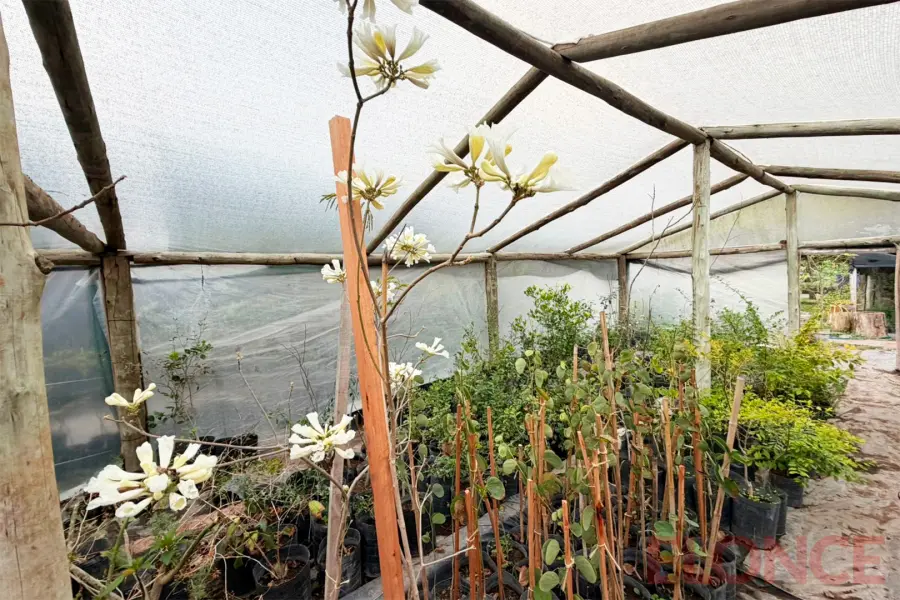 Vivero Municipal de Paran&aacute; (foto Elonce)