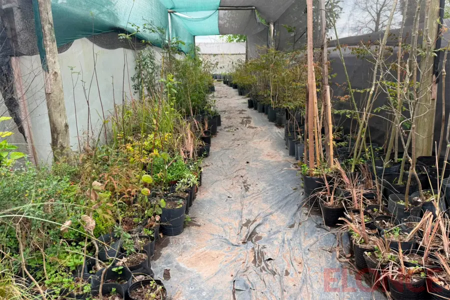 Vivero Municipal de Paran&aacute; (foto Elonce)