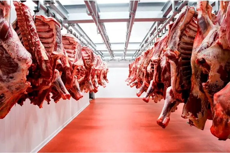 Importaciones de carne vacuna se duplicarán en 2026 y crecerán más el próximo año