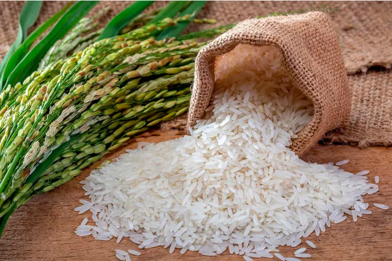 Crearon el sello Arroz Entrerriano: qué requisitos deberán cumplir los productores