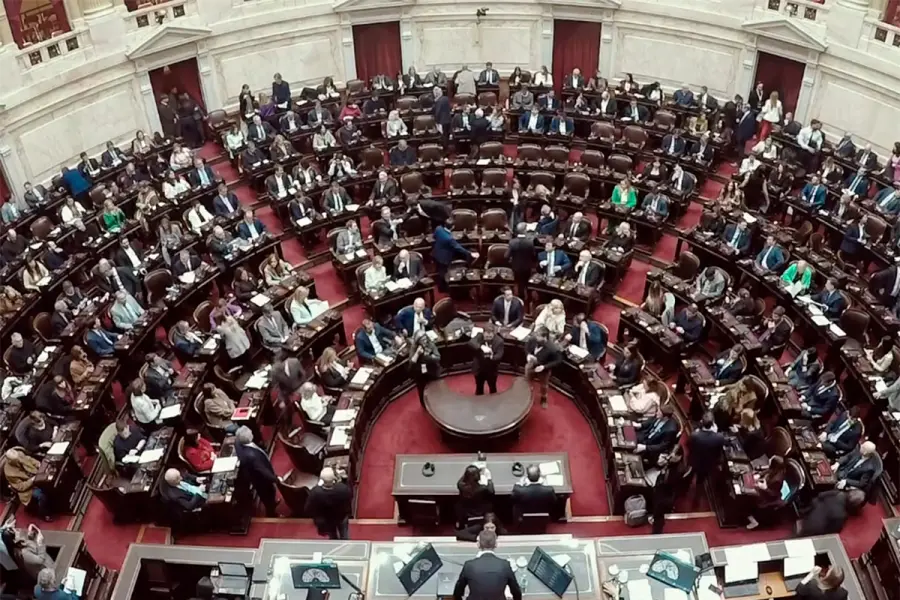 Diputados debate endeudamiento y discapacidad (captura de video)