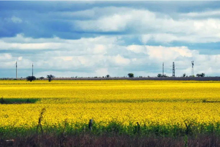 Entre Ríos se encamina a la primavera con lluvias desparejas y fuertes cambios térmicos