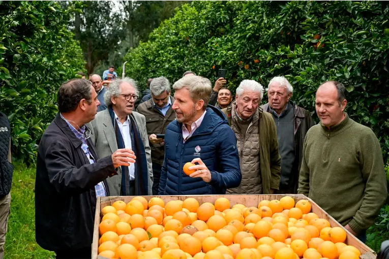 Frigerio recorrió plantaciones de cítricos en Concordia y destacó el potencial del sector para crecer y exportar