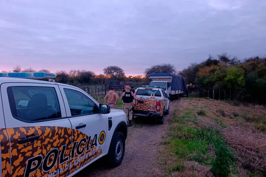 Sorprendieron a cuatreros cuando cargaban 13 vacunos en un camión (foto Policía de Entre Ríos)