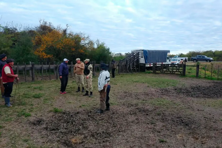 Sorprendieron a cuatreros cuando cargaban 13 vacunos en un camión (foto Policía de Entre Ríos)
