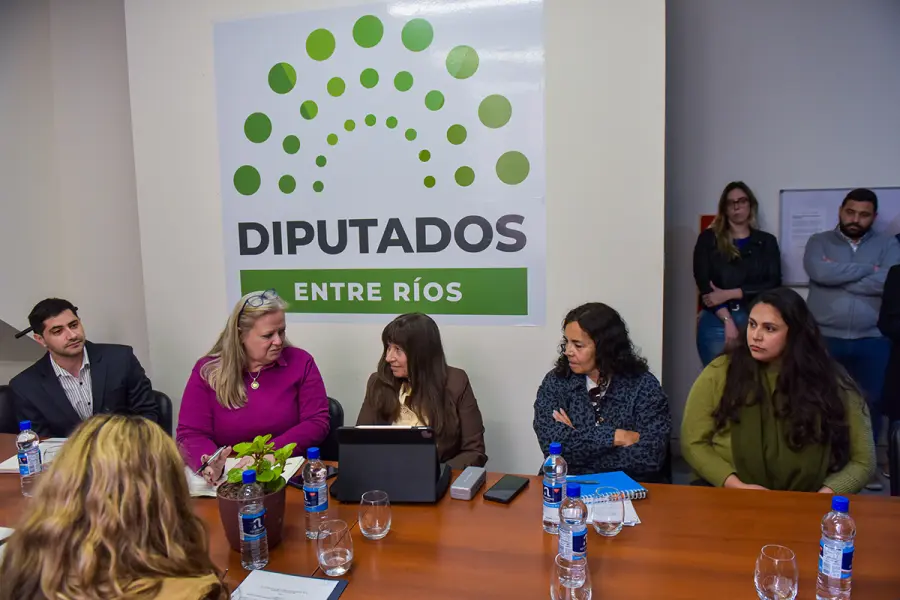 UPCN present&oacute; propuestas en Diputados (foto UPCN)