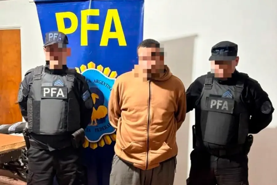 (PFA)