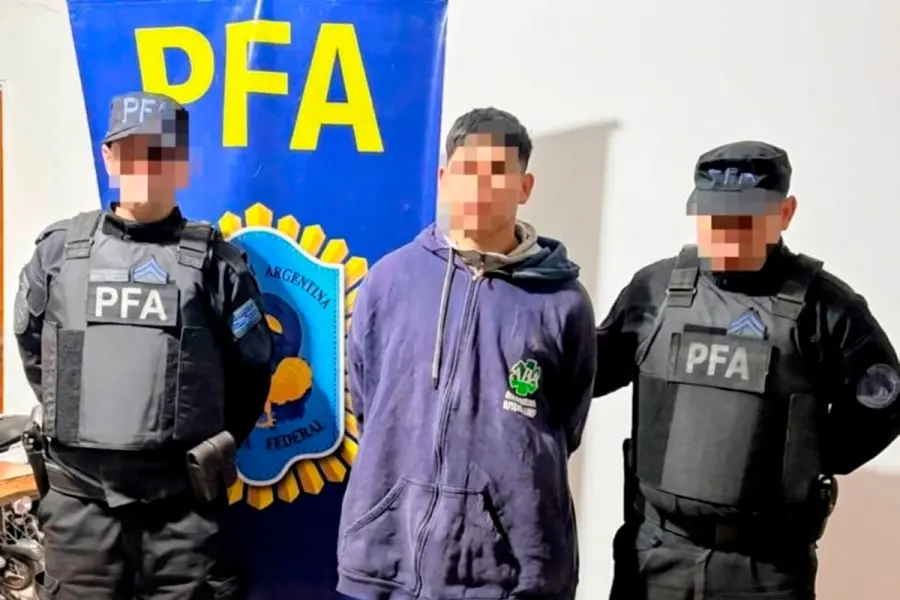 (PFA)