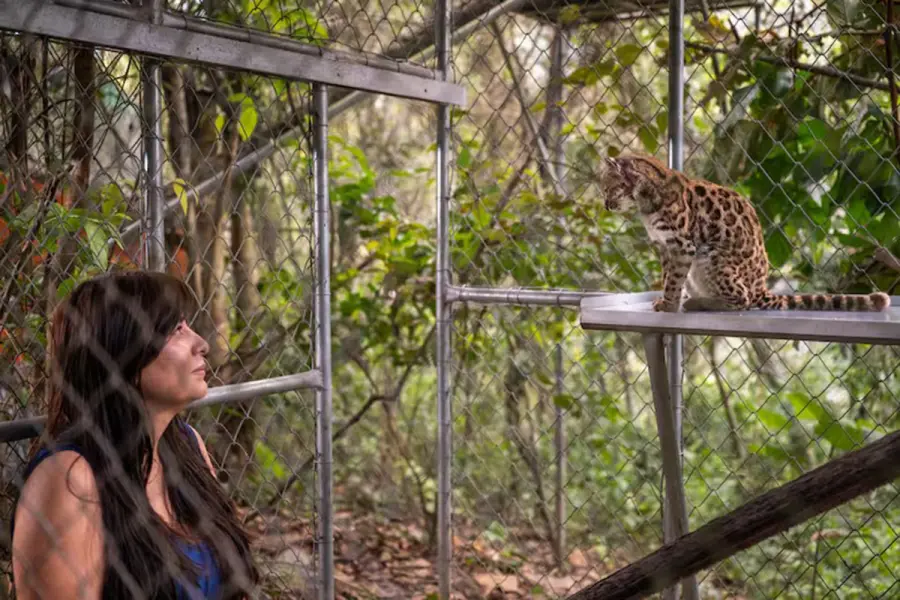Foto: National Geographic.