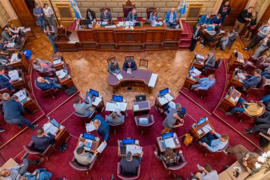 El Senado convirti&oacute; en ley las sanciones para los cuidacoches.-