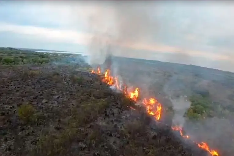 Incendio de pastizales afectó las barrancas en la zona de Toma Vieja: imágenes