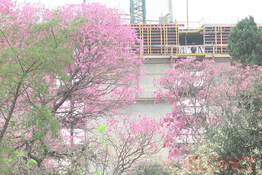 En la antesala de la primavera, pronostican una m&aacute;xima de hasta 27&deg;C en Paran&aacute; (foto Elonce)