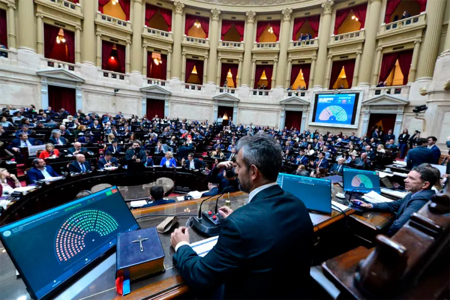 Mart&iacute;n Menem, presidente de la C&aacute;mara de Diputados.-