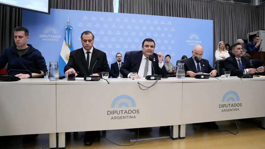 Comisi&oacute;n de Discapacidad en Diputados.-