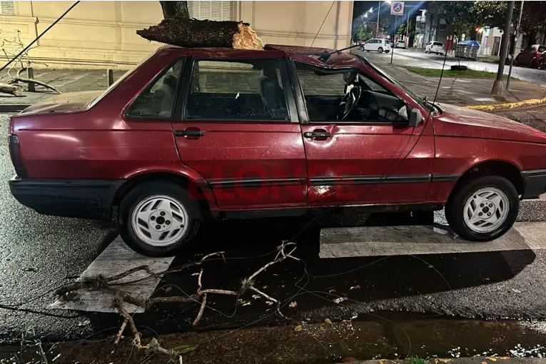 Un árbol cayó sobre un auto durante el temporal en Paraná y una mujer fue hospitalizada