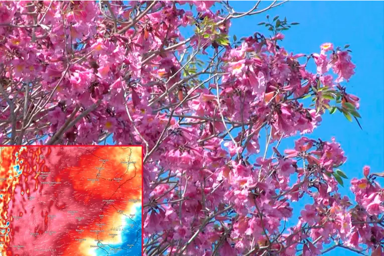 Semana de la primavera con rápidos cambios de temperatura en Entre Ríos: martes frío y luego, fuerte ascenso térmico