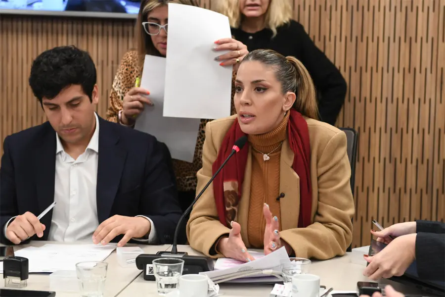 Virginia Gallardo, diputada nacional y exbailarina.-