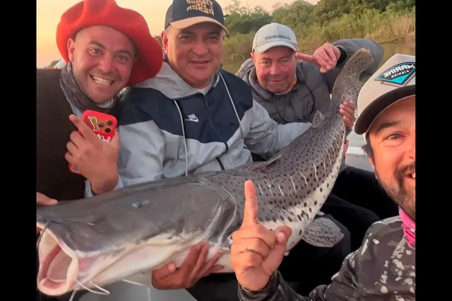 Pescaron un surub&iacute; gigante y lo liberaron despu&eacute;s de fotografiarlo (foto Instagram Excursiones Chano Pesca)