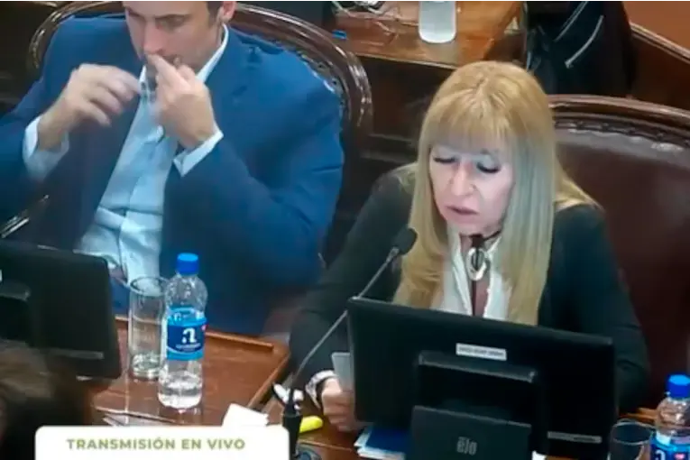 Diputado entrerriano negó haber consumido drogas durante una sesión, tras la difusión de un video