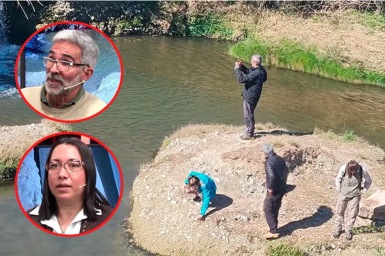Ballenas y manglares en el cálido mar paranaense: el pasado que guardan las barrancas