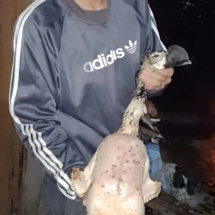 Denunciaron a un influencer por caza ilegal en Santa Fe (foto Ceydas)
