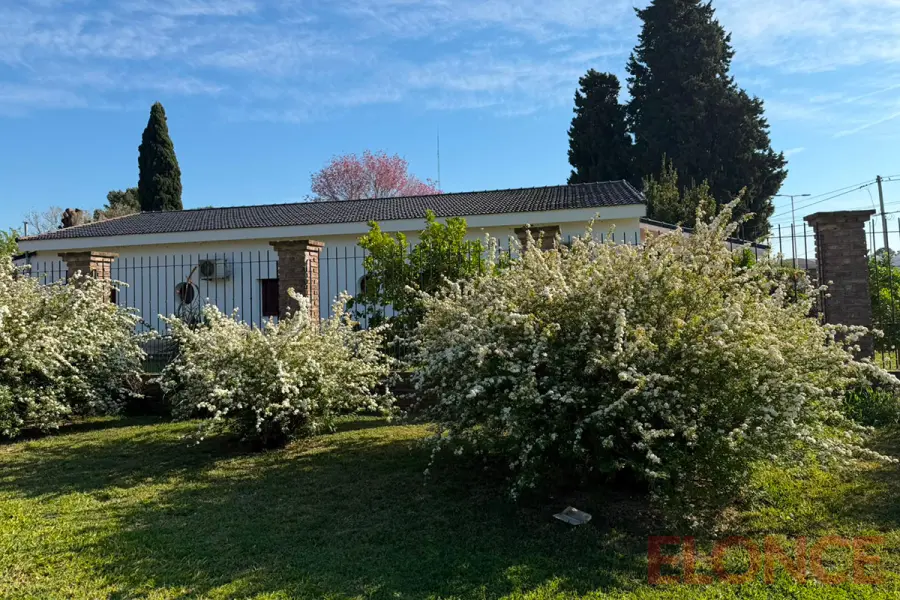 El jard&iacute;n de Benjam&iacute;n Chapino (foto Elonce)