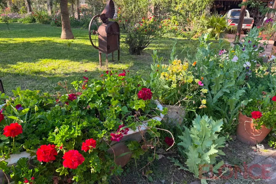 El jard&iacute;n de Benjam&iacute;n Chapino (foto Elonce)