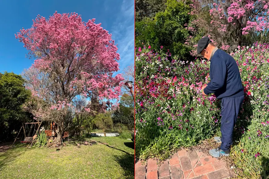 El jard&iacute;n de Benjam&iacute;n Chapino (foto Elonce)