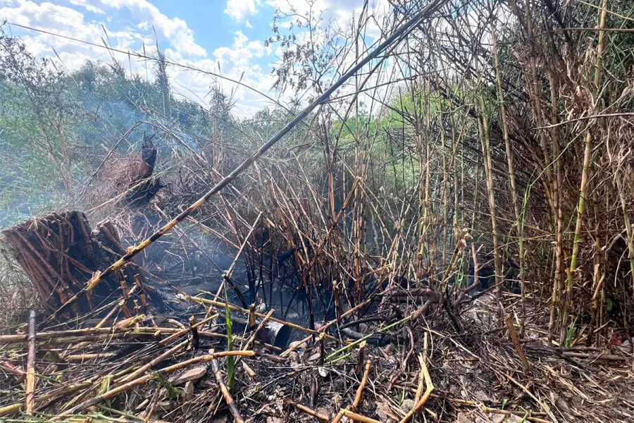 (Bomberos Voluntarios Paraná)