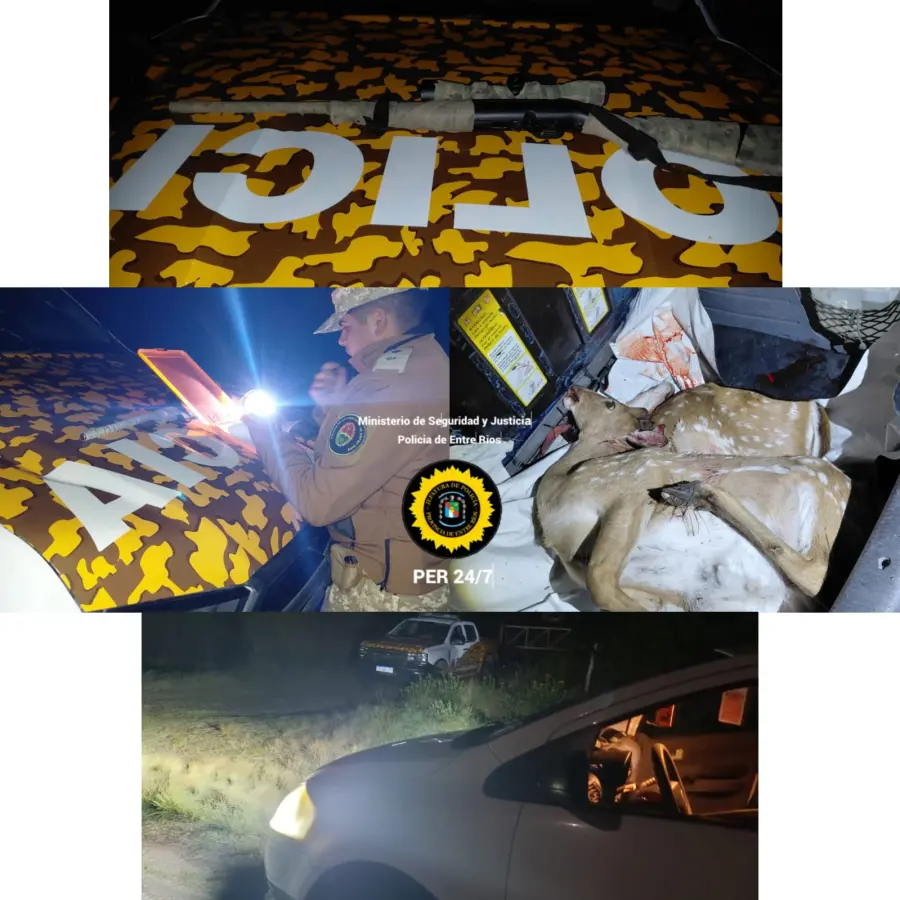 Los sospechosos carecían de permisos para cazar (foto Policía de Entre Ríos)