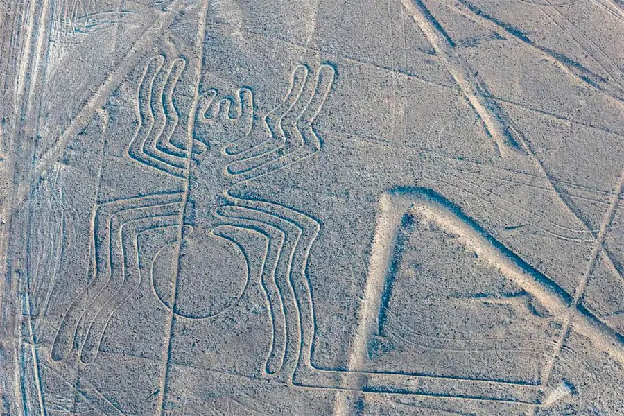 Una de las l&iacute;neas de Nazca (Infobae)