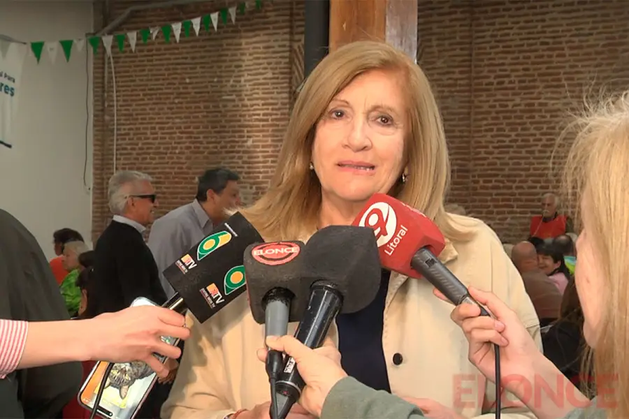 Rosario Romero, intendenta de Paran&aacute; (Elonce)