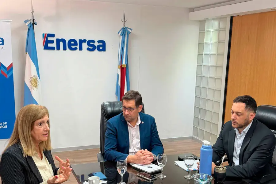 (ENERSA)
