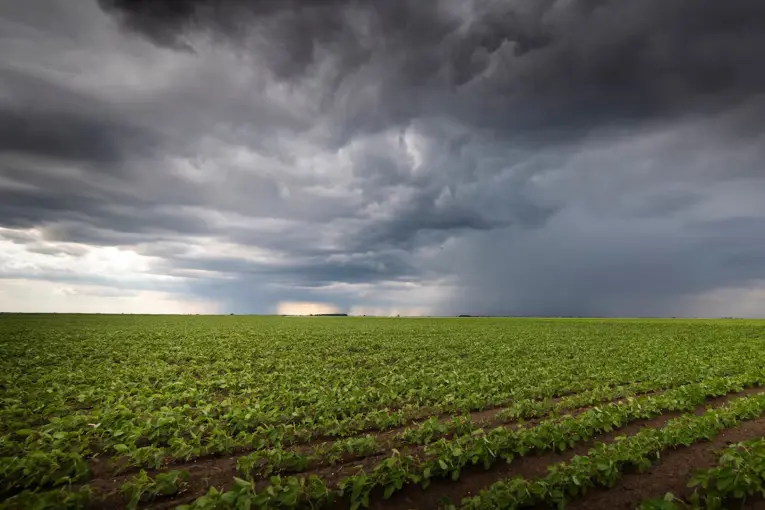 El Niño ya está instalado, pero bajan las proyecciones de lluvias para Argentina