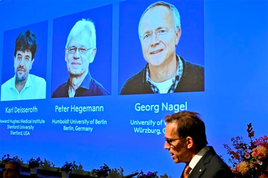 Este lunes se conoci&oacute; el Premio Nobel de Medicina. (Foto: EFE)