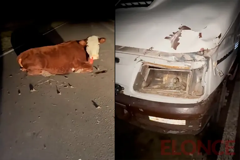 Banda chamamecera entrerriana chocó contra un animal en plena ruta